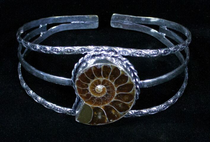 Beautiful Ammonite Fossil Bracelet #3364